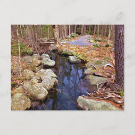 Natuur Stream Briefkaart