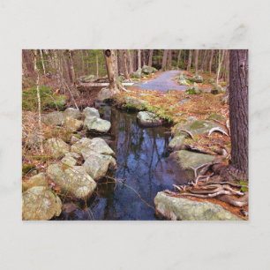 Natuur Stream Briefkaart