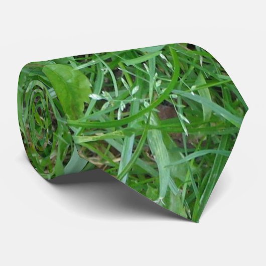 Natuur Stropdas (Opgerold)