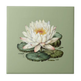 Natuur Style Water Lily Ceramic Tegel Tegeltje