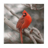 Natuur Tegeltje (Voorkant)