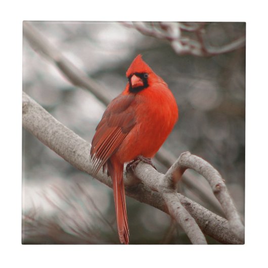 Natuur Tegeltje (Voorkant)