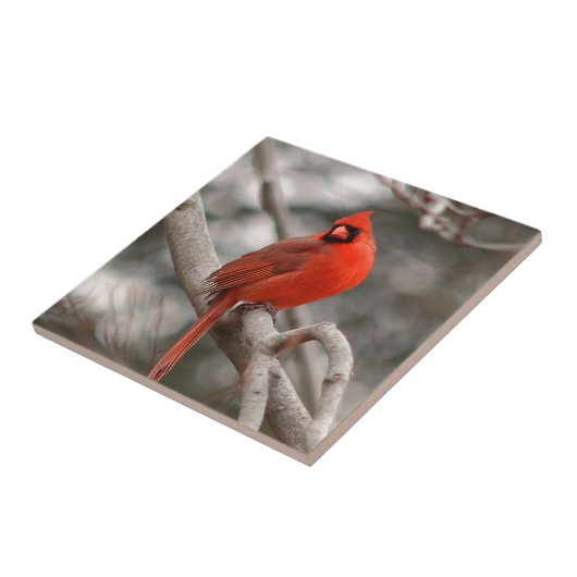 Natuur Tegeltje (Zijkant)