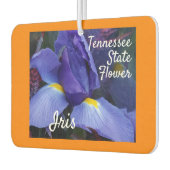 Natuur Tennessee State Flower Iris Luchtverfrisser (Links)