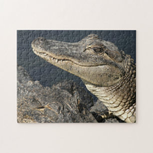 Natuur thema Live Alligators Puzzles voor volwasse Legpuzzel