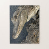 Natuur thema Live Alligators Puzzles voor volwasse Legpuzzel (Verticaal)