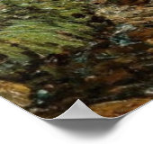 Natuur Therapie Enneking's Calming Trout Pond Poster (Hoek)