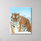 Natuur Tiger Winter Snow Mountains Canvas Afdruk (Voorkant)