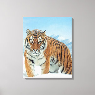 Natuur Tiger Winter Snow Mountains Canvas Afdruk