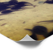 Natuur Tiny Black Toad Tadpoles Poster (Hoek)