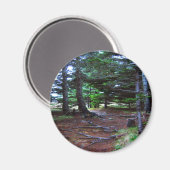 Natuur trapmagneet magneet (Voorkant / Achterkant)