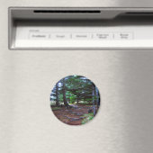 Natuur trapmagneet magneet (Insitu (Vaatwasser))