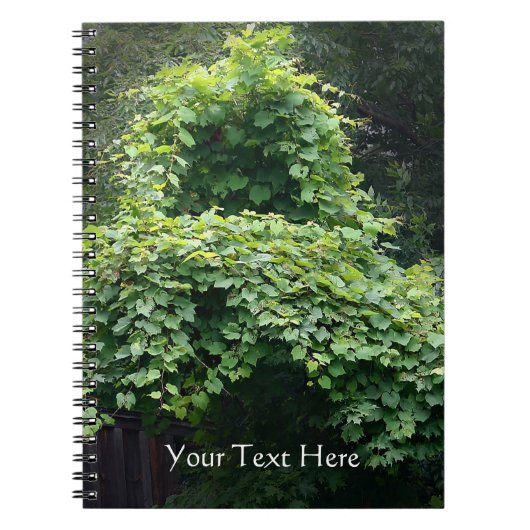 Natuur troon notitieboek (Voorkant)