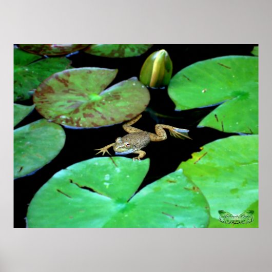 Natuur tussen Lilies Poster (Voorkant)