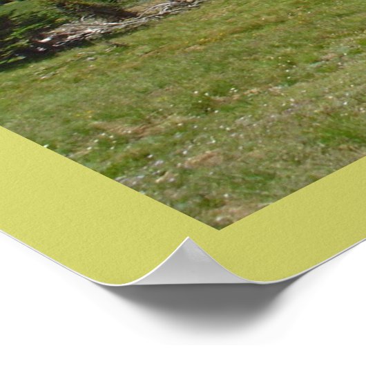 Natuur Uitzicht Poster (Hoek)