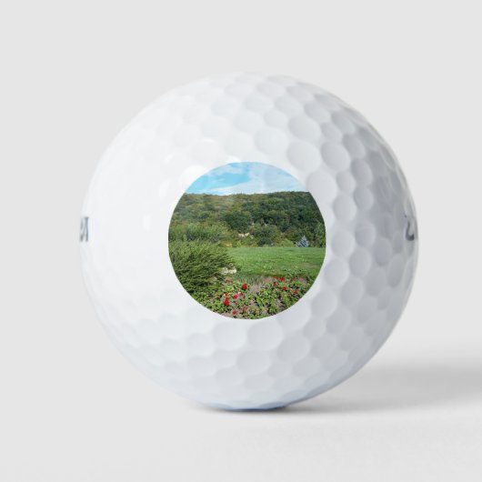 Natuur Uitzicht van Golfcursus Golfballen (Voorkant)