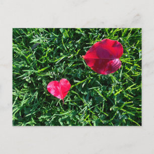 Natuur valentijn: hartvormig rood blad feestdagenkaart