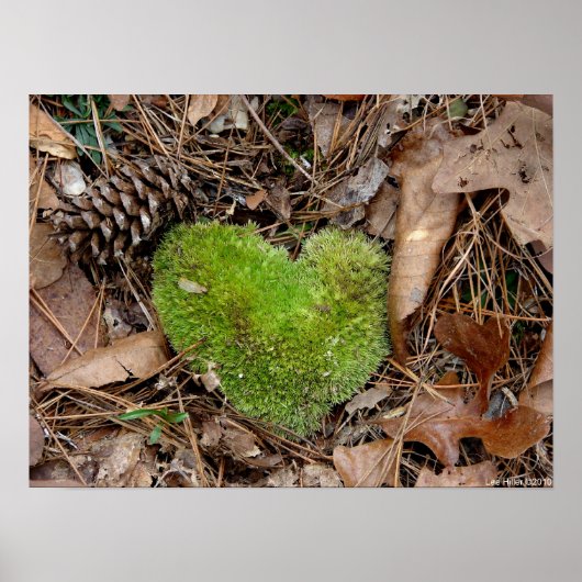 Natuur Valentijn Moss Heart Poster (Voorkant)