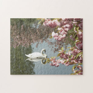 Natuur van Beauful Swan Foto Legpuzzel