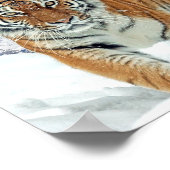 Natuur van bergen Winter Foto Snow Tiger Poster (Hoek)