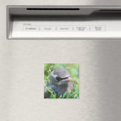 Natuur van Cute Baby Bird Magneet (Insitu (Vaatwasser))