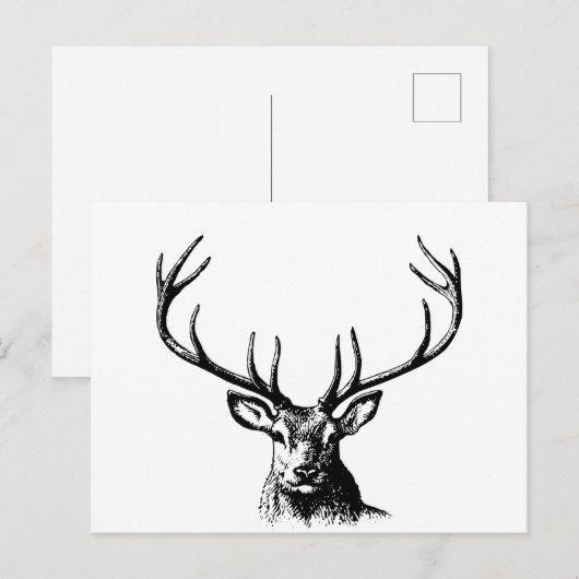 Natuur van de briefkaart (Voorkant / Achterkant)