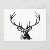 Natuur van de briefkaart (Voorkant)