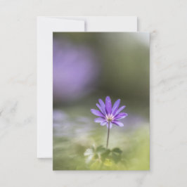 Natuur van de groene windbloem Foto Kaart