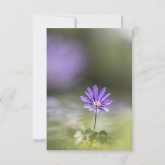 Natuur van de groene windbloem Foto Kaart (Voorkant)