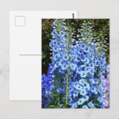 Natuur van de tuinbouwbloem briefkaart (Voorkant / Achterkant)