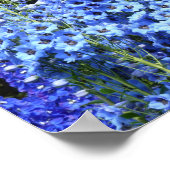 Natuur van de tuinbouwbloem poster (Hoek)