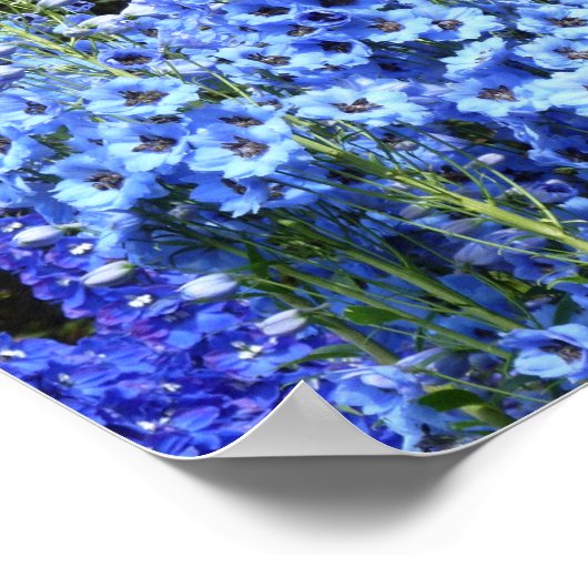 Natuur van de tuinbouwbloem poster (Hoek)