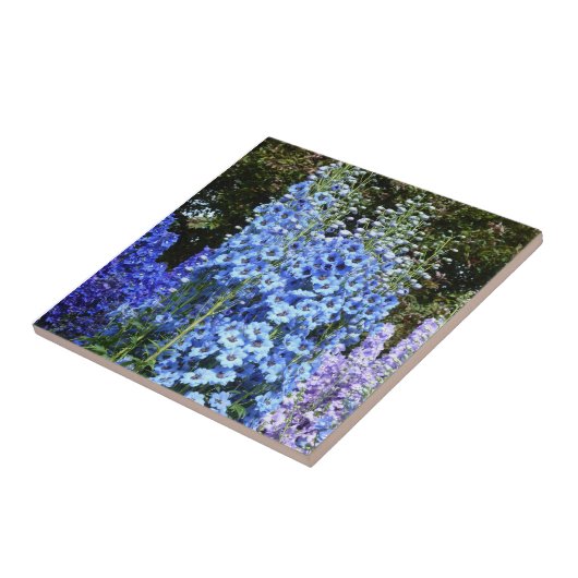 Natuur van de tuinbouwbloem tegeltje (Zijkant)