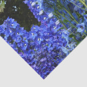 Natuur van de tuinbouwbloem tissuepapier (Detail)