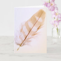  Natuur van de Veer goed