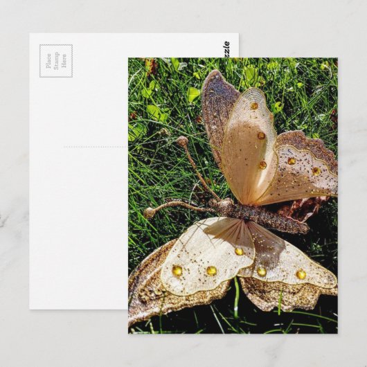 Natuur van de vlinder briefkaart (Voorkant / Achterkant)