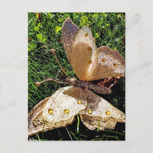 Natuur van de vlinder briefkaart (Voorkant)