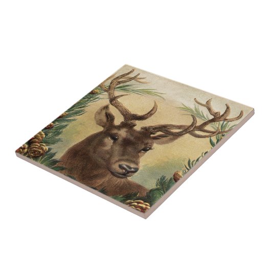 Natuur van Deer Buck Tegeltje (Zijkant)