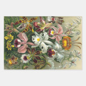 Natuur van Ernst Haeckel - Papieren pakbladen Inpakpapier Vel (Voorkant 3)