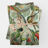 Natuur van Ernst Haeckel - Papieren pakbladen Inpakpapier Vel (In situ)