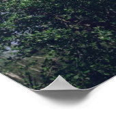 Natuur van Flying Swan Bird Wild Life Poster (Hoek)