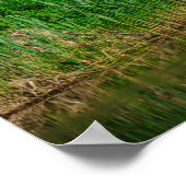 Natuur van Flying Swan Bird Wild Life Poster (Hoek)