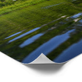 Natuur van Flying Swan Bird Wild Life Poster (Hoek)