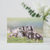 Natuur van ganzen (Staand voorkant)