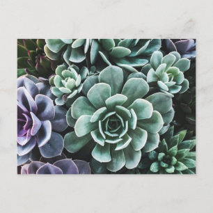 Natuur van groene Planten met succes Briefkaart