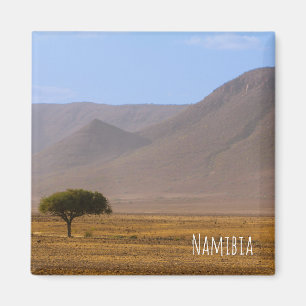 Natuur van het Afrikaanse woestijnlandschap in Nam Magneet