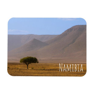 Natuur van het Afrikaanse woestijnlandschap in Nam Magneet
