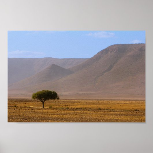 Natuur van het Afrikaanse woestijnlandschap in Nam Poster (Voorkant)
