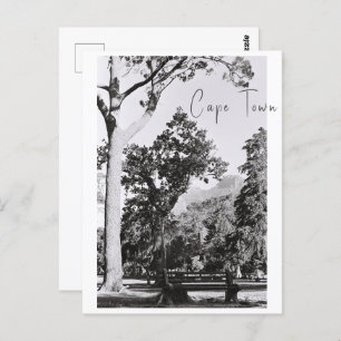 Natuur van het Kaapstadspark in Zuid-Afrika ZA Briefkaart
