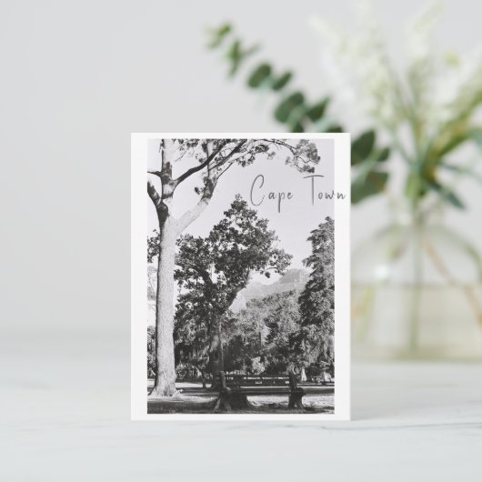 Natuur van het Kaapstadspark in Zuid-Afrika ZA Briefkaart (Staand voorkant)